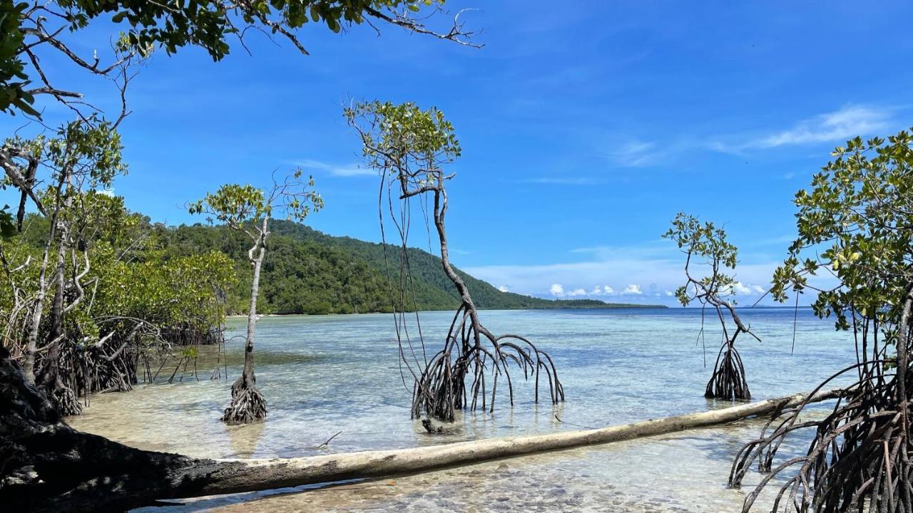 Nyande Raja Ampat Hotel Pulau Mansuar Exterior photo